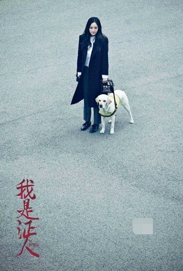 我是证人什么时候上映？