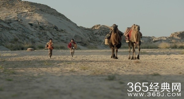 家在水草丰茂的地方影评