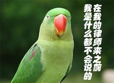 经典哥：小样有种捡银行的钱试试！2015.08.21
