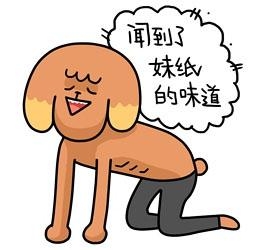 经典哥：小样有种捡银行的钱试试！2015.08.21