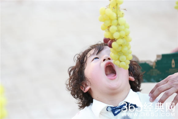 爸爸3护弟狂魔胖轩什么时候播出？爸爸3胖轩怎么变护弟狂魔？