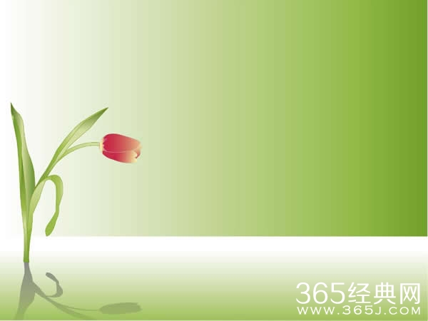 相遇,乃一树梨花清雅