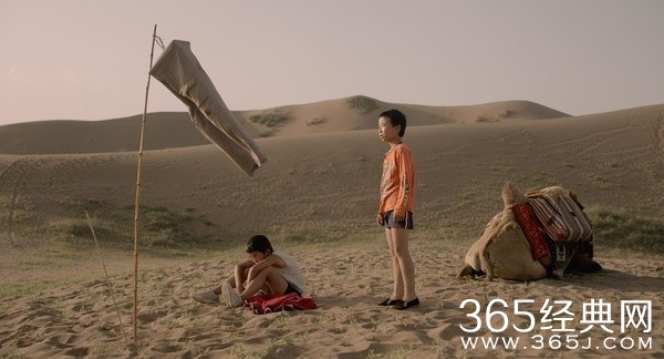 家在水草丰茂的地方影评