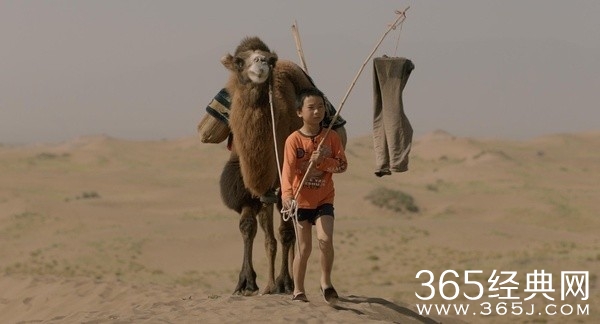 家在水草丰茂的地方影评