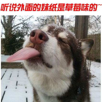 经典哥：小样有种捡银行的钱试试！2015.08.21