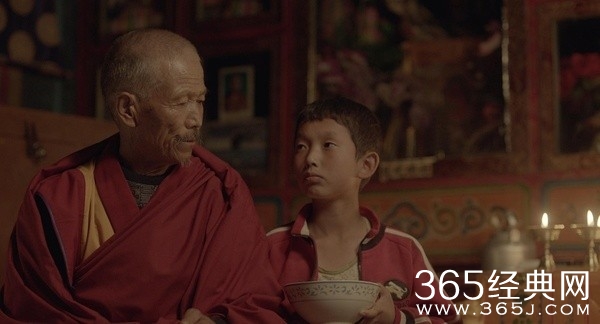 家在水草丰茂的地方影评