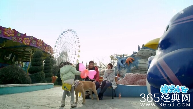 神犬小七第21集剧情介绍