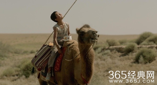 家在水草丰茂的地方影评