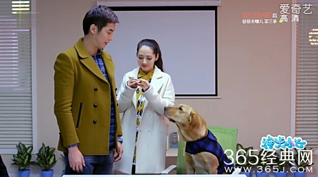 神犬小七第23集剧情介绍