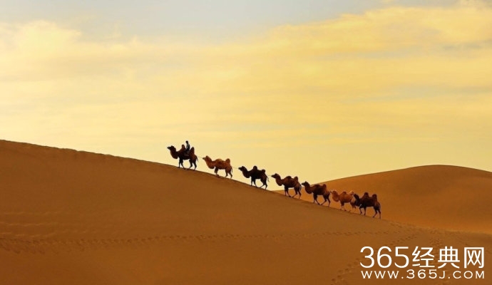 善良，是为自己留下的路标