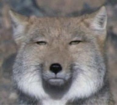 经典哥：做小三是什么感觉？2015.08.25