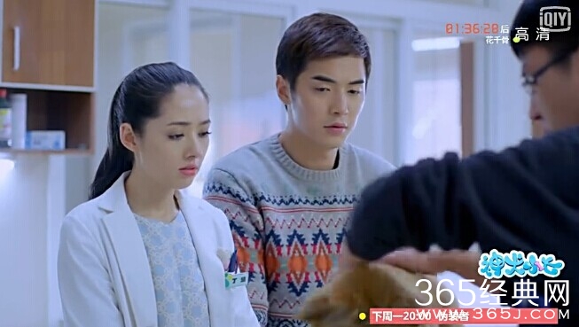 神犬小七第27集剧情介绍