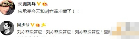 刘亦菲为什么没答应宋承宪求婚