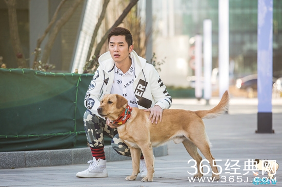 神犬小七艾亮带小七考试是哪一集