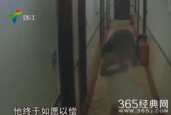 经典哥：哥要娶一个漂亮妹子！2015.08.27