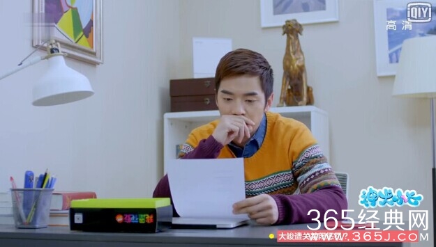 神犬小七第34集剧情介绍