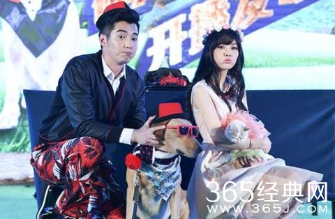 电视剧神犬小七还会出第二季吗