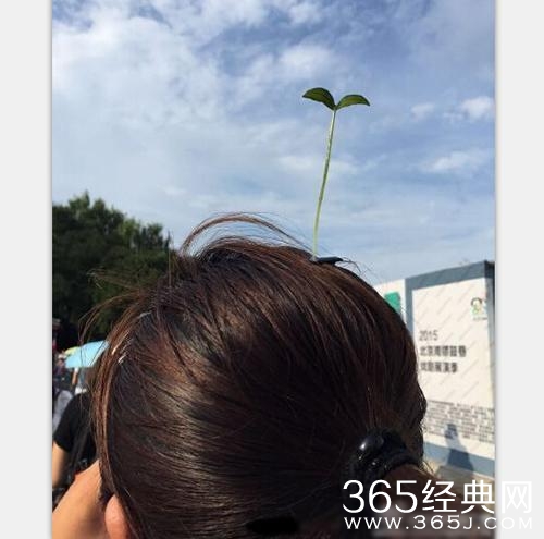 经典哥：我看到了它的眼泪！2015.08.28