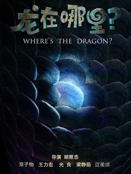 龙在哪里？影评