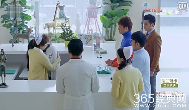 神犬小七第36集剧情介绍