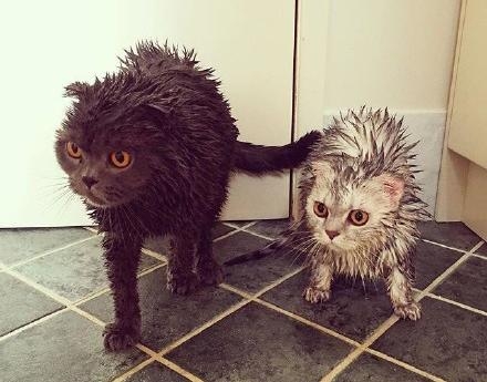 经典哥：不以恶小而为之。2015.08.31