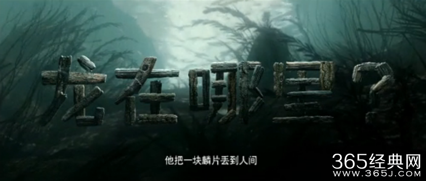 龙在哪里？影评