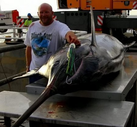 盘点世界上最大的动物