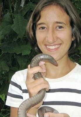 盘点世界上最大的动物