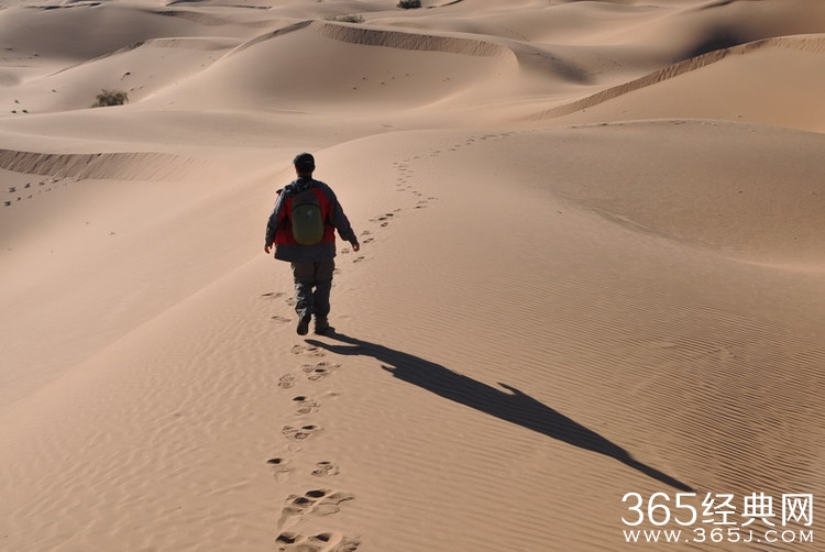 去还没有路的地方，才能留下你的足迹