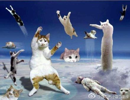 经典哥：准备看明天阅兵的漂亮女兵！2015.09.02