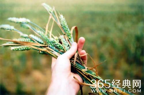 早安心语：发脾气是本能，控制脾气是本领。2015.09.02