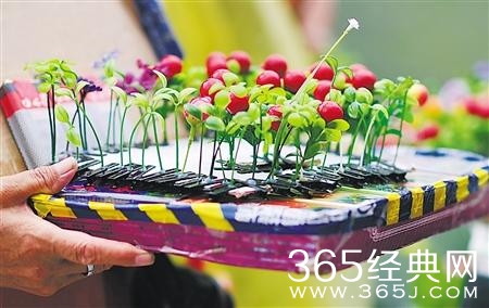 经典哥：准备看明天阅兵的漂亮女兵！2015.09.02