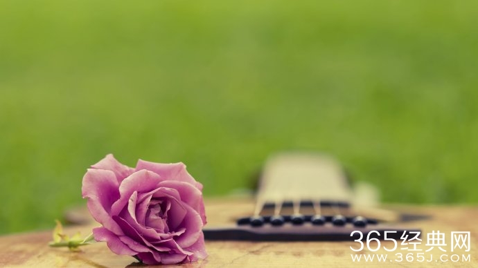 暗香岁月,素心如简