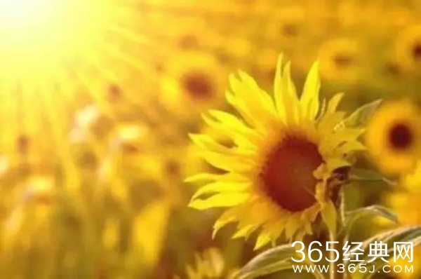 宽恕能让人化敌为友