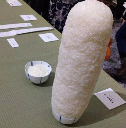 经典哥：准备看明天阅兵的漂亮女兵！2015.09.02