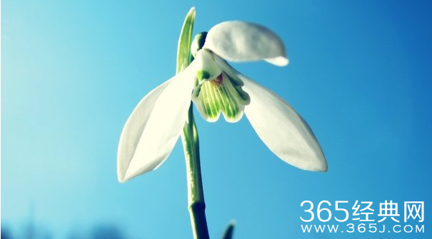 我不是教你忍，这只是生活的成本