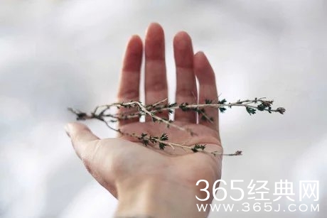 早安心语：最简单的爱自己，就是好好吃饭。2015.09.06