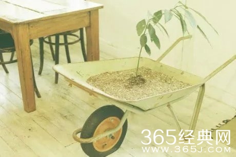 早安心语：不要费尽心思的去恨一个人，不然到头来你只会爱上他。2015.09.08