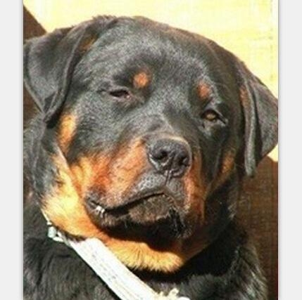 经典哥：教教孩子该怎么做人！2015.09.08