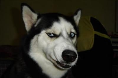 经典哥：这年头贼的智商也很捉急！2015.09.09