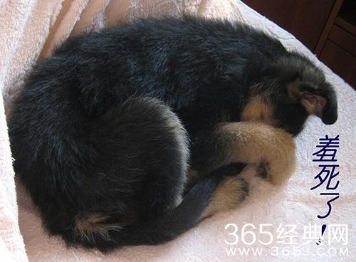 经典哥：教师节你们送礼物了吗？2015.09.10