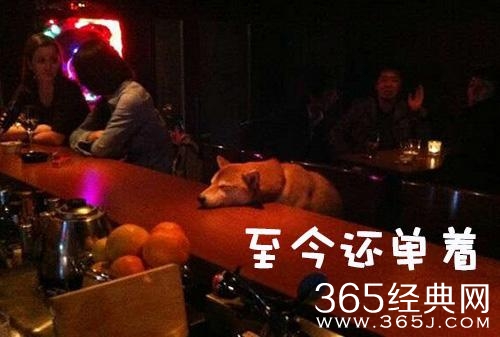 经典哥：教师节你们送礼物了吗？2015.09.10