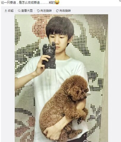 王源单手抱爱犬自拍