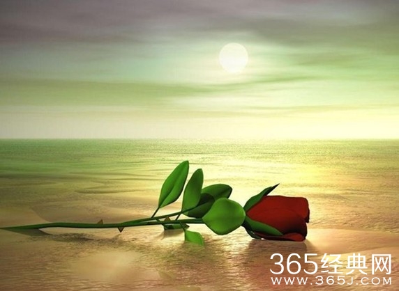 学会在放弃中追求