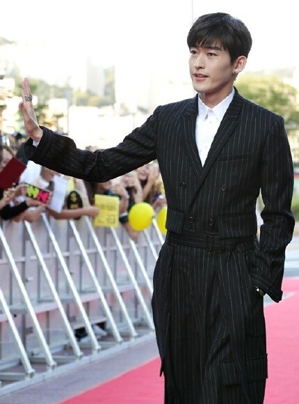 张翰在2015首尔电视节中获得的是什么奖项 张翰红毯造型照片