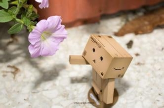 为什么你明明知道，却偏偏做不到？