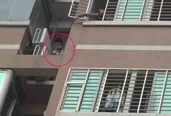 经典哥：您的智商需要充值了！2015.09.15