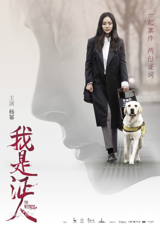 电影我是证人什么时候上映 我是证人的演员阵容