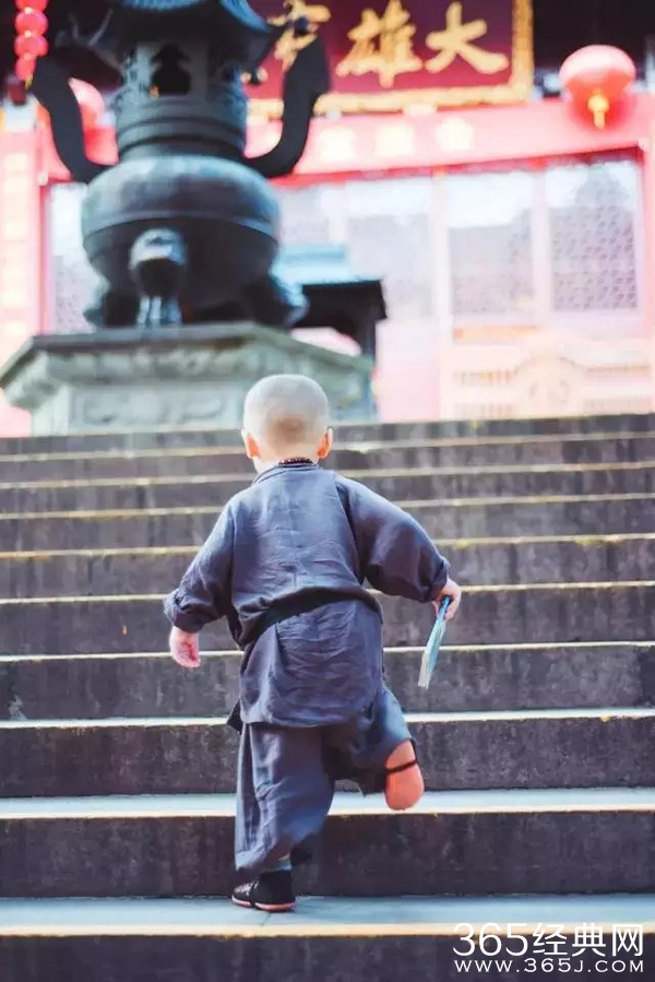 灵隐寺最萌小和尚腾腾海量萌照 年仅两岁萌翻网友