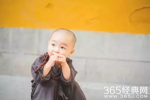 灵隐寺最萌小和尚腾腾海量萌照 年仅两岁萌翻网友